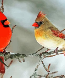 Cardinals In Winter paint by numbers