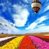 Air Balloon Over Colorful Flowers Field paint by numbers
