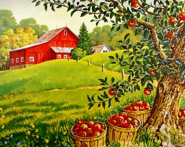 Apples Orchard paint by numbers