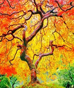 Autumn Flame Portland Japanese Garden paint by number