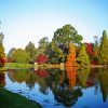 Autumn Sheffield Park And Garden paint by number