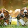 Basset Hounds Puppies paint by numbers