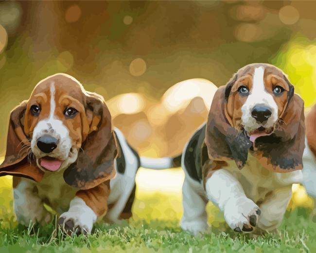 Basset Hounds Puppies paint by numbers