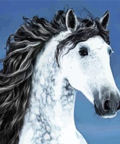 Beautiful Andalusian Horse paint by number