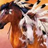 Beautiful Native Horses paint by numbers