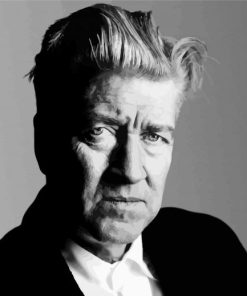 Black And White David Lynch paint by numbers