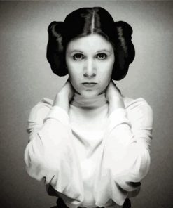 Black And White Princess Leia paint by numbers