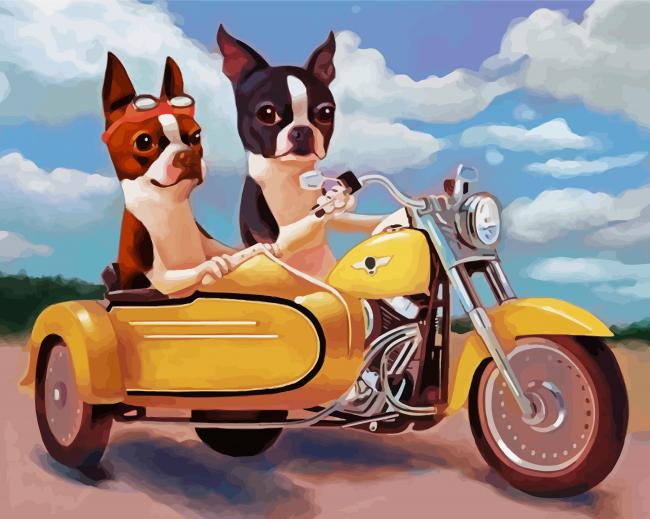 Boston Terrier Riding A Motorcycle Arts paint by numbers