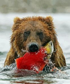 Brown Bear With Fish paint by numbers