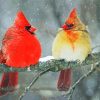 Cardinals Birds In Winter paint by numbers
