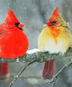 Cardinals Birds In Winter paint by numbers