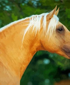 Close Up Golden Andalusian paint by number