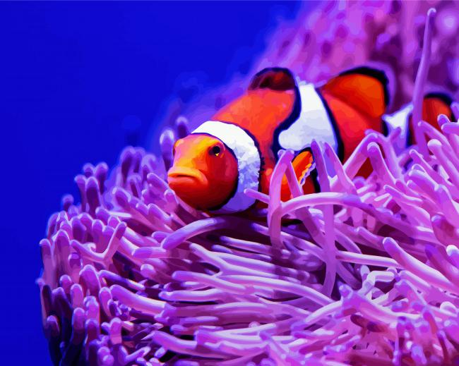 Clown Fish And Anemones paint by number