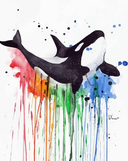 Colors Splatter Orca paint by numbers