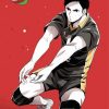 Daichi Sawamura Playing Volleyball paint by numbers