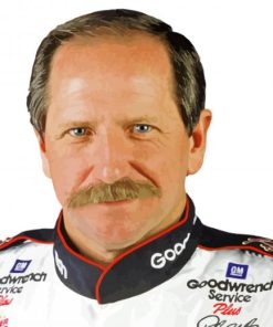 Earnhardt Dale Race Car Driver paint by numbers