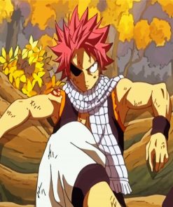 Fairy Tail Anime Natsu Dragneel paint by number