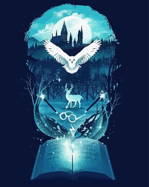 Harry Potter And Hedwig Paint By Numbers