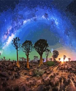 Galaxy Sky Namibia paint by number