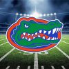 Gators Logo Field paint by numbers