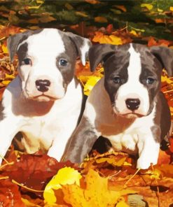Grey American Staffordshire Terrier paint by number