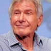 Harrison Ford Actor Celebrity paint by numbers