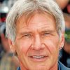 Harrison Ford Face paint by numbers