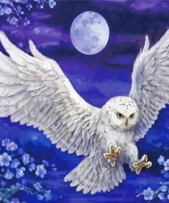 Harrty Potter Hedwig Owl paint by number