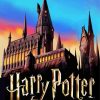 Harry Potter Hogwarts School paint by number