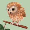 Harry Potter Pigwidgeon Owl paint by numbers