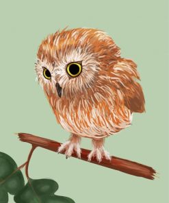 Harry Potter Pigwidgeon Owl paint by numbers