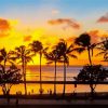 Honolulu Oahu Sunset Silhouette paint by numbers