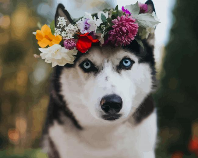 Husky With Flower Crown paint by number