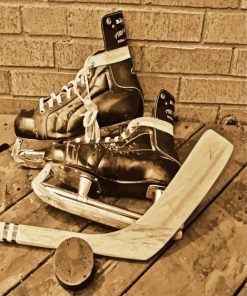 Ice Hockey Equipment paint by number