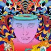 Illustration Psychedelic Mental Art paint by number