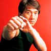 Jackie Chan Celebrity paint by numbers