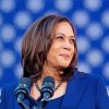 Kamala Vise President paint by numbers