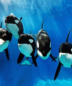 Killer Whales Underwater paint by number