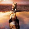 Lion Reflection paint by number