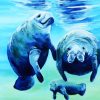 Manatee Family paint by numbers