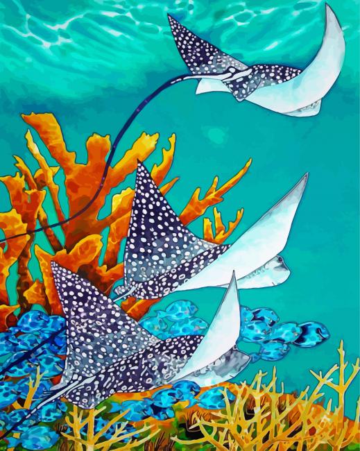 Manta Rays Underwater paint by numbers