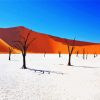 Namibia Desert paint by number