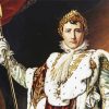 Napoleon The King paint by number