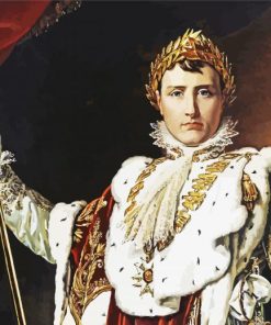 Napoleon The King paint by number