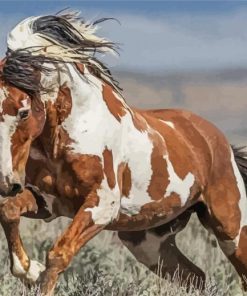 Native American Indian horse paint by numbers