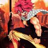 Natsu Dragneel Anime paint by number