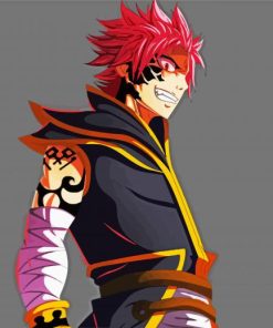 Natsu Dragneel Fairy Tail Anime paint by number