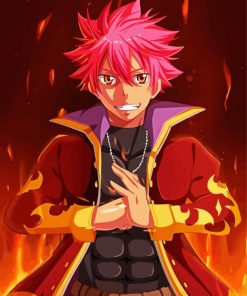 Natsu Fairy Tail Anime paint by number