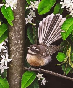 New Zealand Fantail Bird paint by numbers