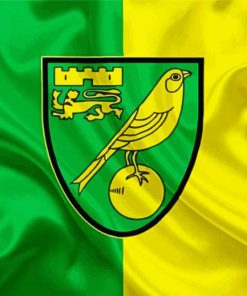 Norwich City Football Club Logo paint by number
